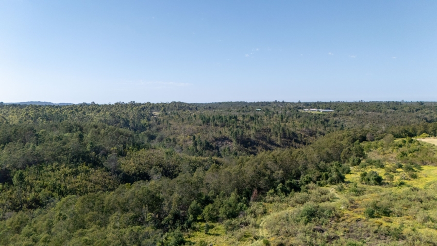 Commercial Property for Sale in Plettenberg Bay Rural Western Cape
